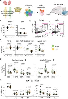 Frontiers Tissue Specific Sex Differences In Pediatric And Adult